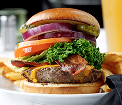 terradyne-image-dining9